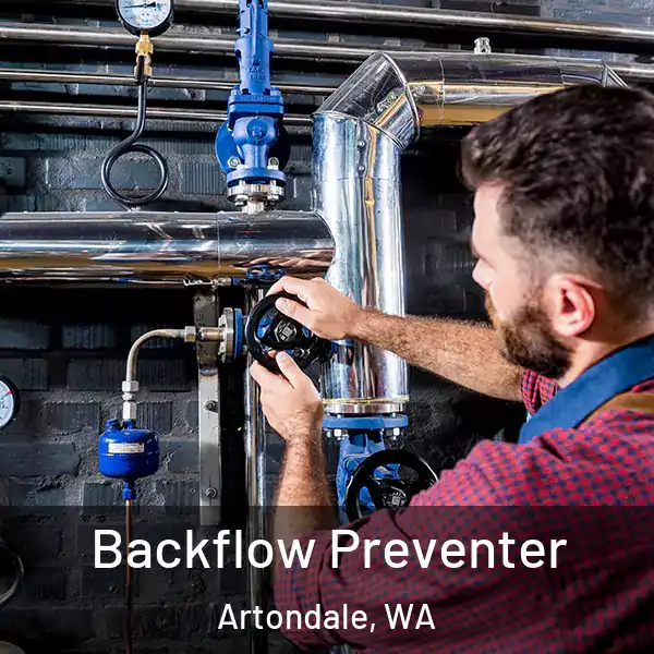  Backflow Preventer Artondale, WA