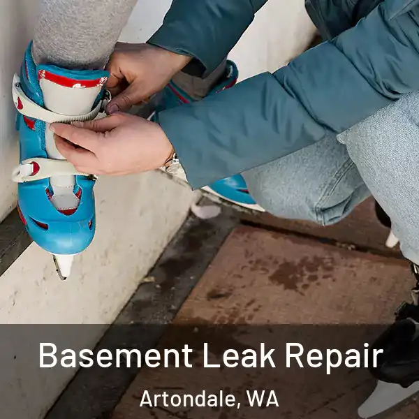  Basement Leak Repair Artondale, WA