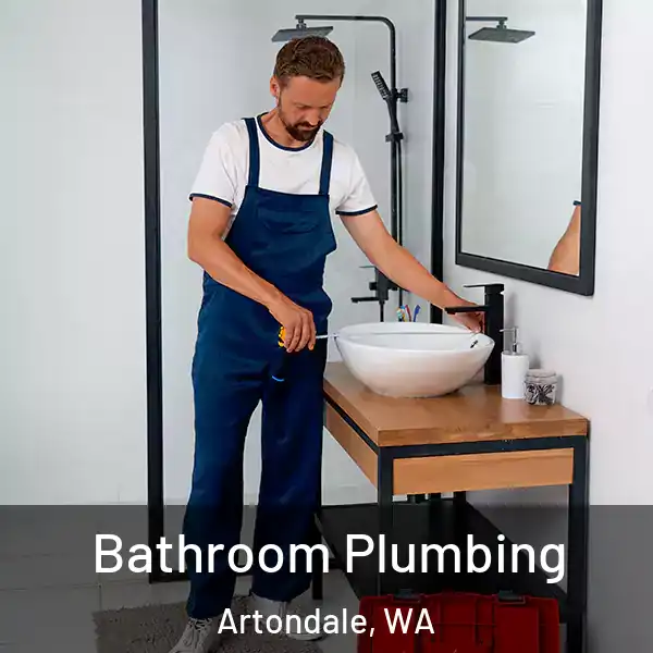  Bathroom Plumbing Artondale, WA