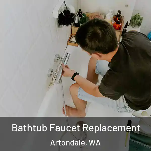  Bathtub Faucet Replacement Artondale, WA