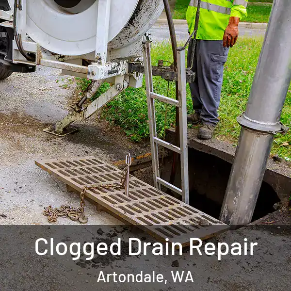  Clogged Drain Repair Artondale, WA