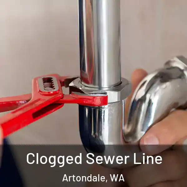  Clogged Sewer Line Artondale, WA