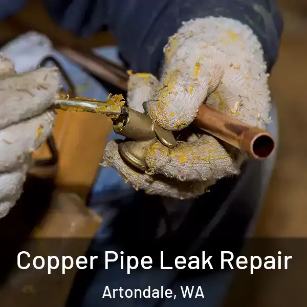  Copper Pipe Leak Repair Artondale, WA