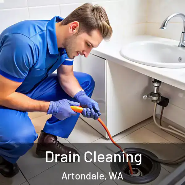  Drain Cleaning Artondale, WA