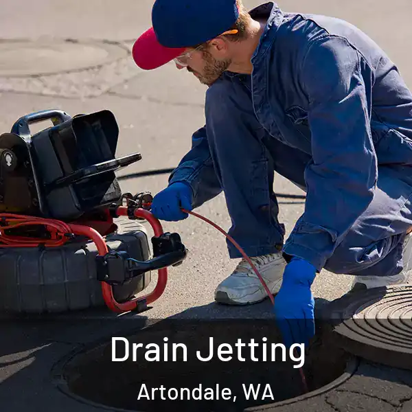  Drain Jetting Artondale, WA