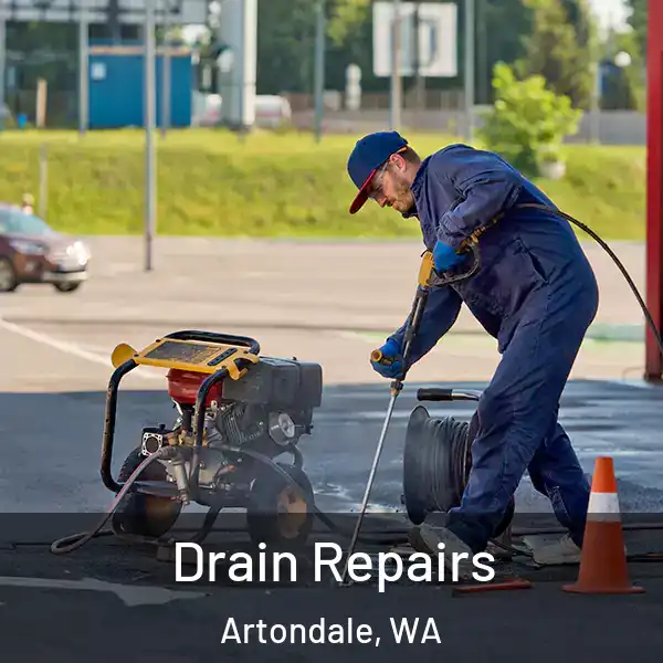  Drain Repairs Artondale, WA
