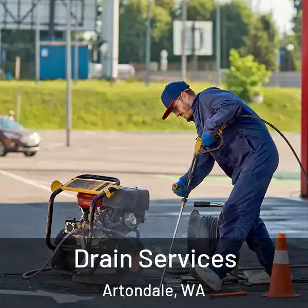  Drain Services Artondale, WA