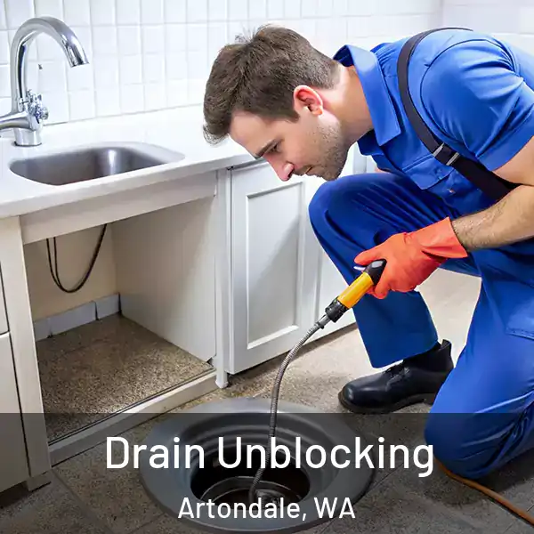  Drain Unblocking Artondale, WA