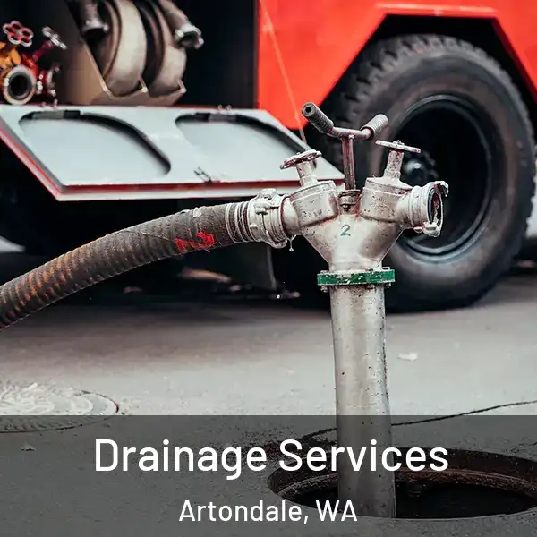  Drainage Services Artondale, WA