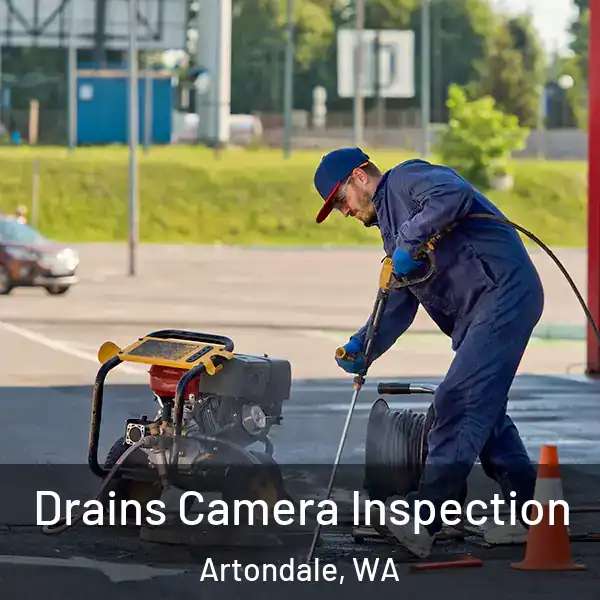  Drains Camera Inspection Artondale, WA