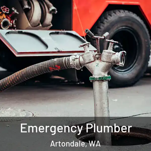  Emergency Plumber Artondale, WA