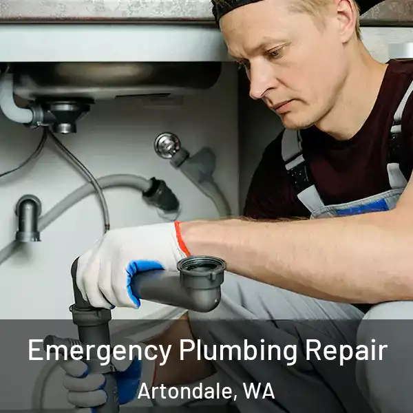 Emergency Plumbing Repair Artondale, WA