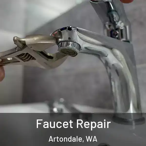  Faucet Repair Artondale, WA
