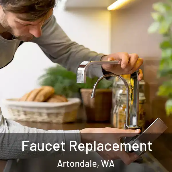  Faucet Replacement Artondale, WA