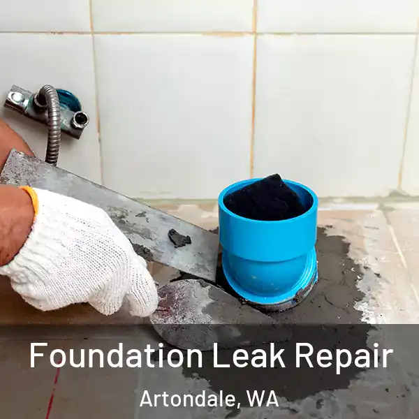  Foundation Leak Repair Artondale, WA