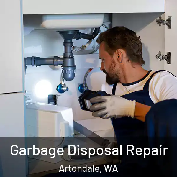  Garbage Disposal Repair Artondale, WA