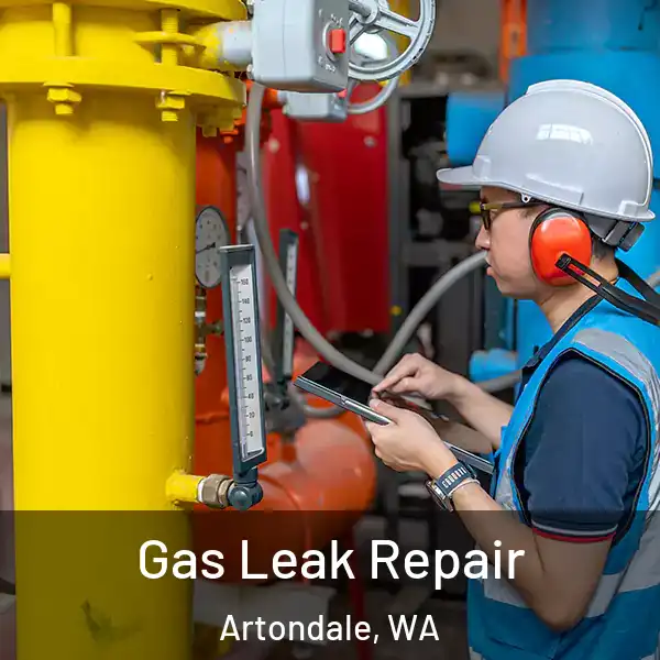  Gas Leak Repair Artondale, WA