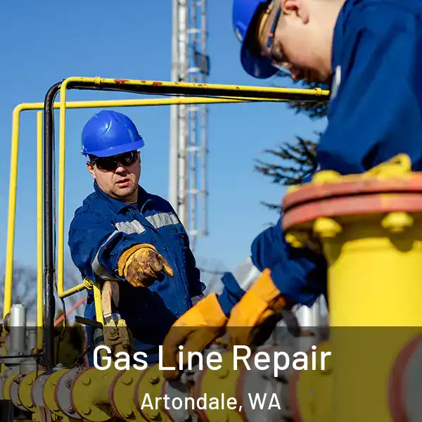  Gas Line Repair Artondale, WA