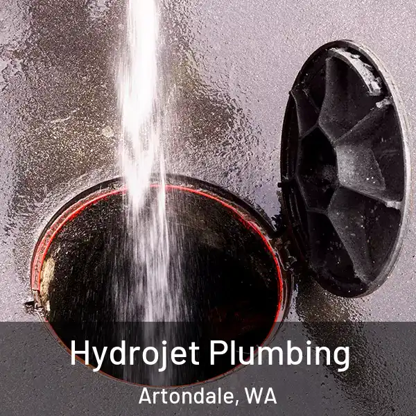  Hydrojet Plumbing Artondale, WA