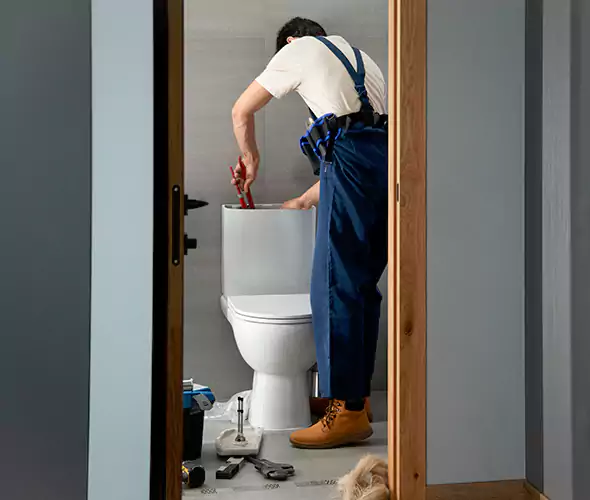 Professional Plumbers for Toilet Bowl Replacement in Artondale, WA: Schedule Affordable Toilet Replacement Services With Us