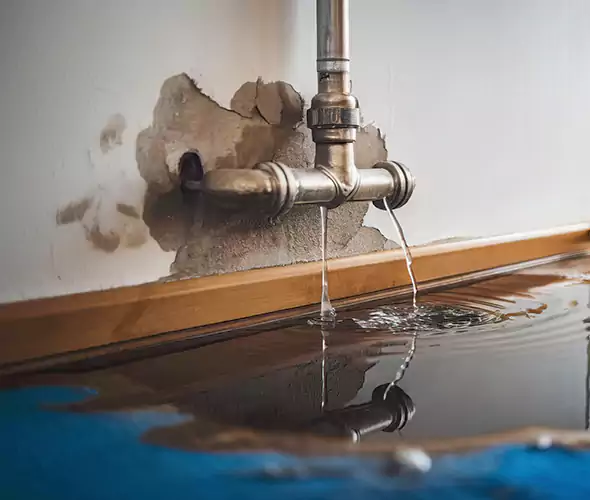 Professional Water Damage Restoration Experts in Artondale, WA — Fast, Reliable & Certified