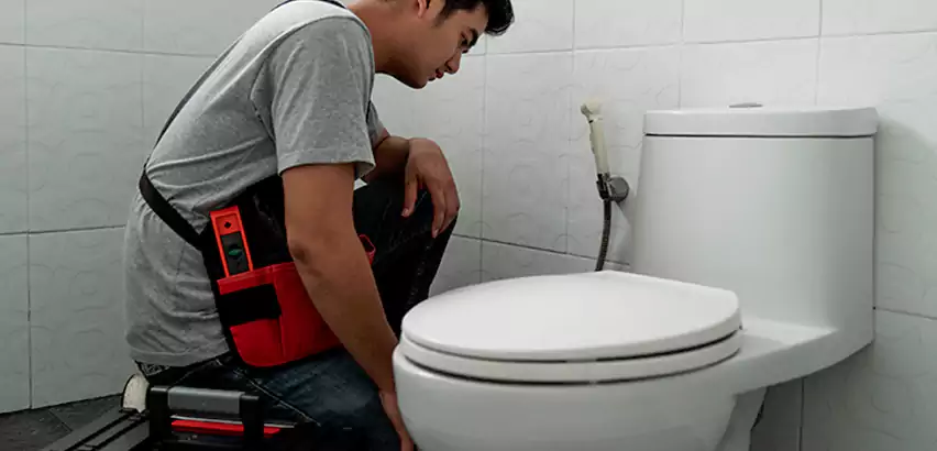 Toilet Repair in Artondale