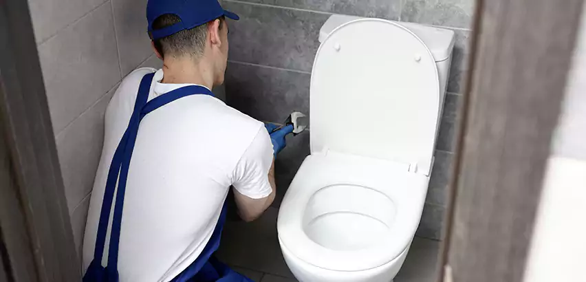 Toilet Lid Replacement in Artondale