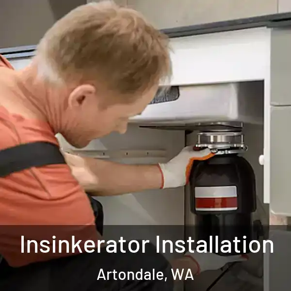  Insinkerator Installation Artondale, WA