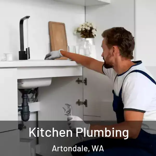  Kitchen Plumbing Artondale, WA