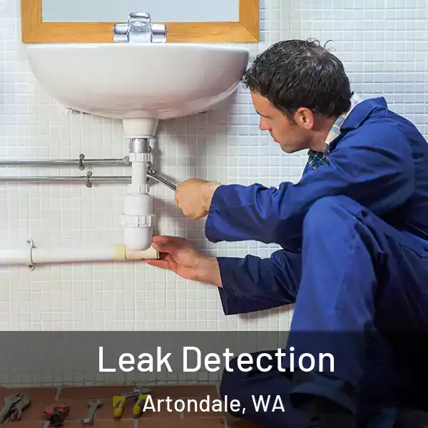  Leak Detection Artondale, WA