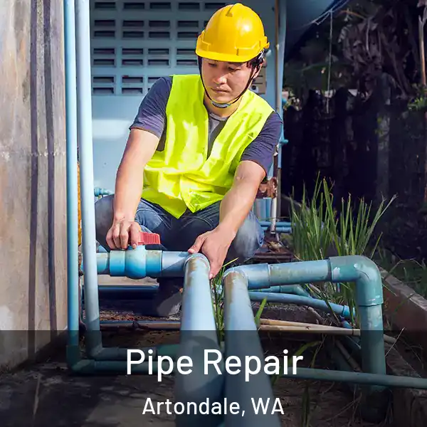  Pipe Repair Artondale, WA