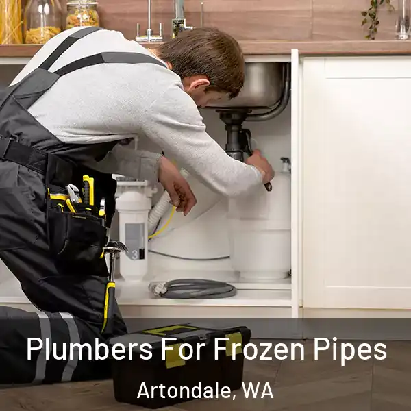  Plumbers For Frozen Pipes Artondale, WA