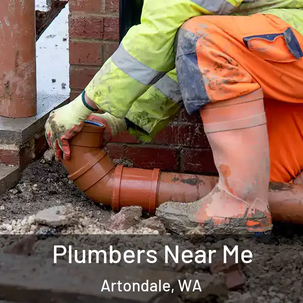  Plumbers Near Me Artondale, WA