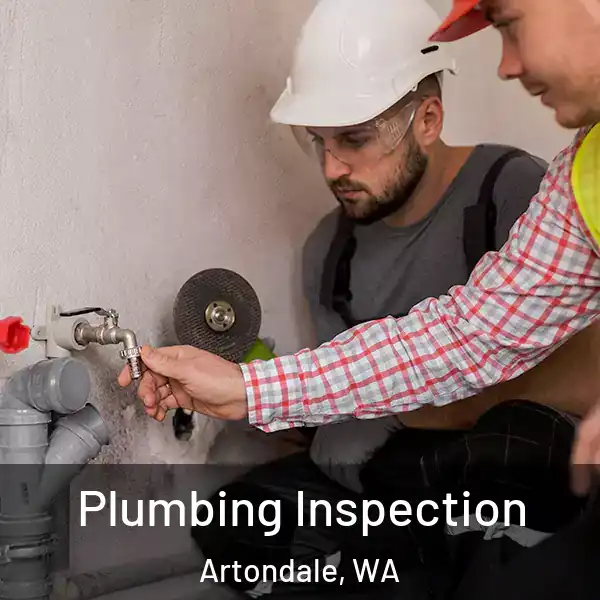  Plumbing Inspection Artondale, WA