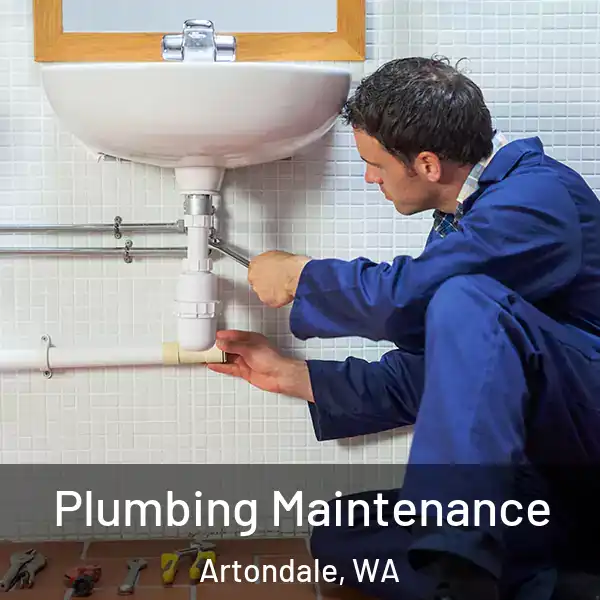  Plumbing Maintenance Artondale, WA