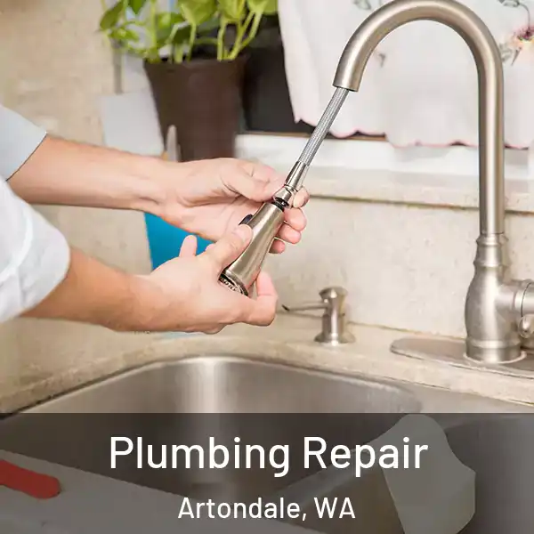  Plumbing Repair Artondale, WA