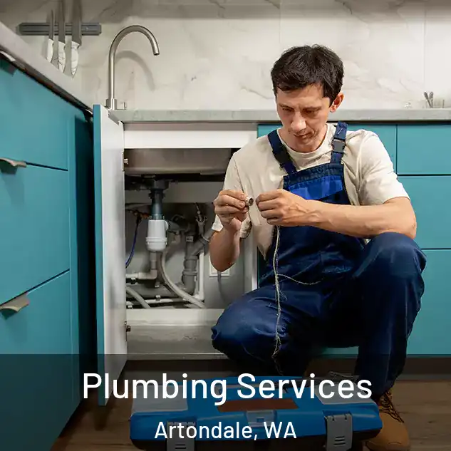  Plumbing Services Artondale, WA
