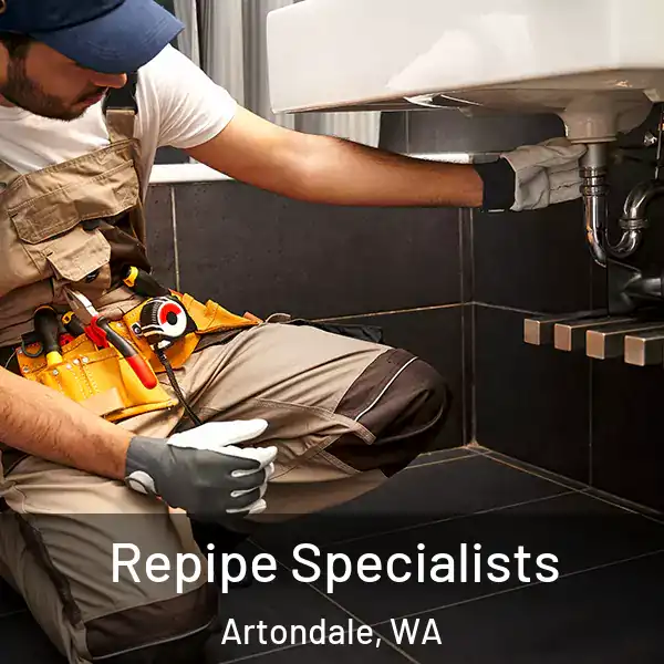 Repipe Specialists Artondale, WA