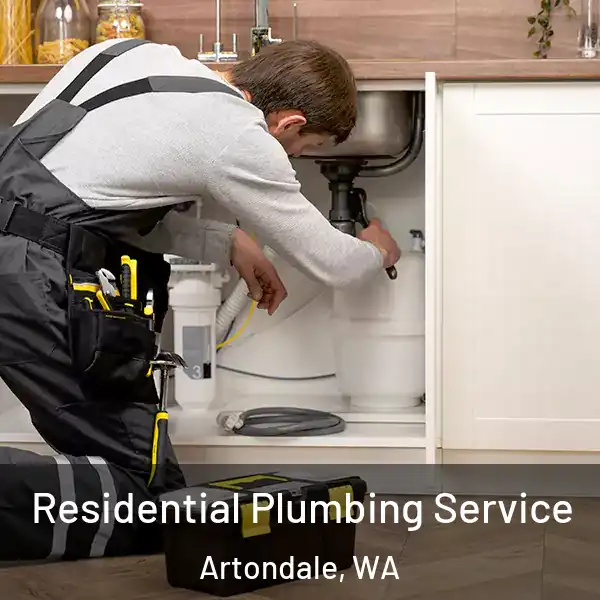  Residential Plumbing Service Artondale, WA