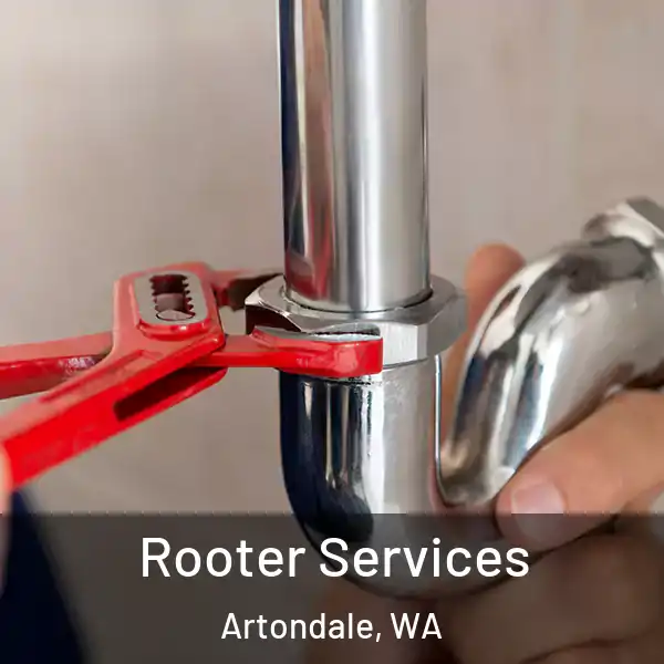  Rooter Services Artondale, WA