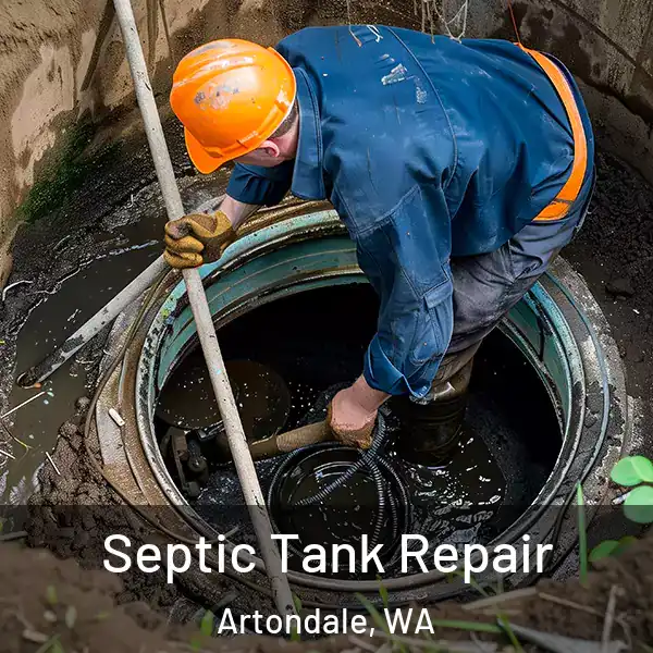  Septic Tank Repair Artondale, WA