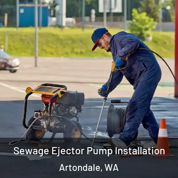  Sewage Ejector Pump Installation Artondale, WA