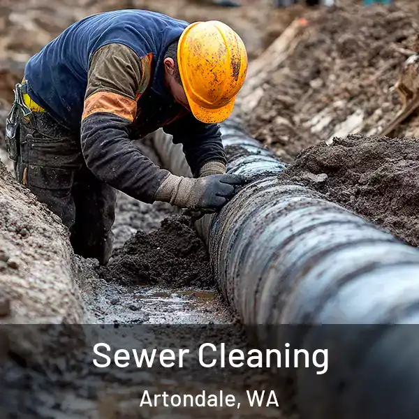  Sewer Cleaning Artondale, WA