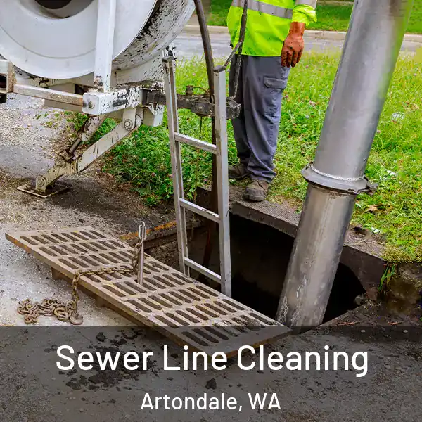 Sewer Line Cleaning Artondale, WA