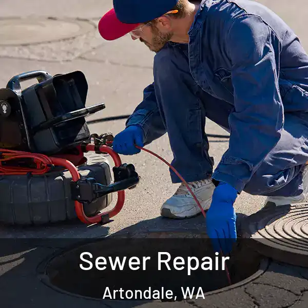  Sewer Repair Artondale, WA
