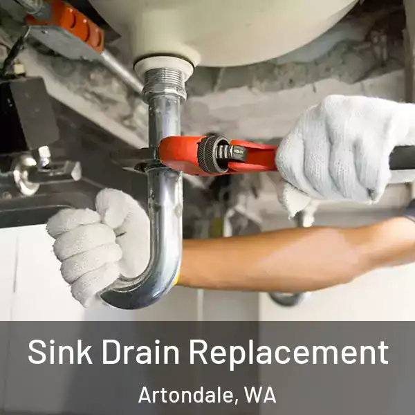  Sink Drain Replacement Artondale, WA