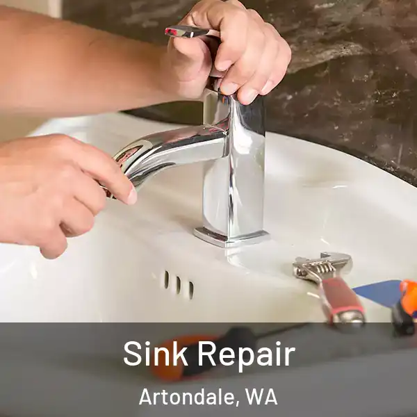  Sink Repair Artondale, WA