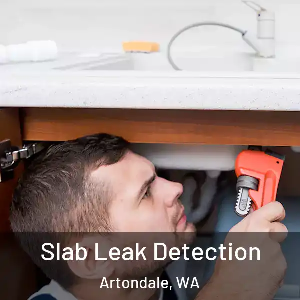  Slab Leak Detection Artondale, WA