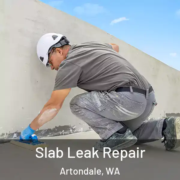  Slab Leak Repair Artondale, WA