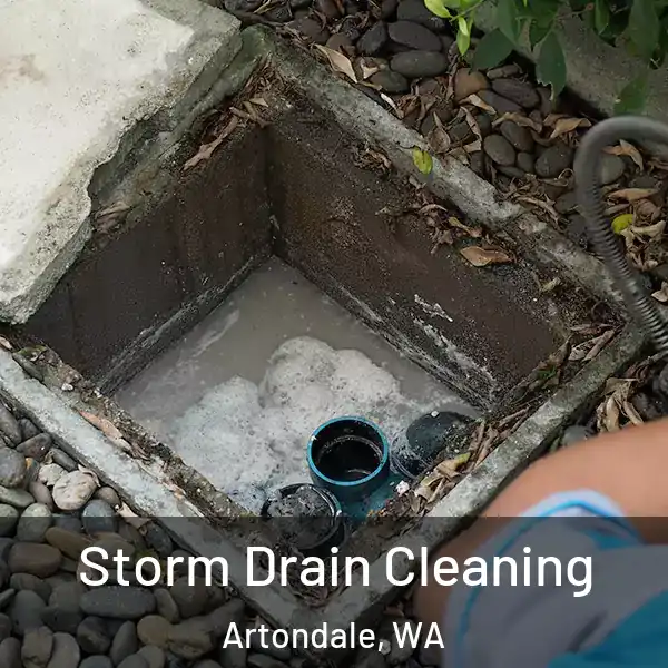  Storm Drain Cleaning Artondale, WA
